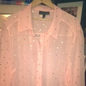 Lane Bryant - Light Pink with Gold Sheer Blouse 22